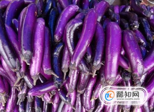 ��������Щ�ر��Ľ�������ʳ�����